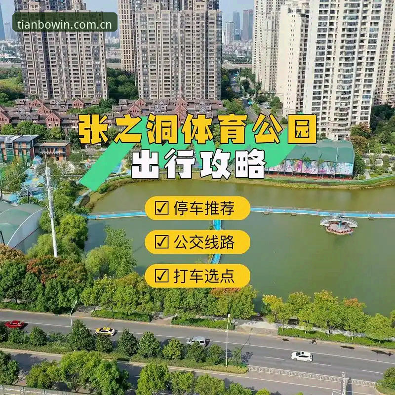 天博体育平台最新动态：官方入口与注册攻略全解析